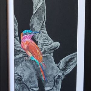 Symbiosis - Carmine Bee-Eater & Eland