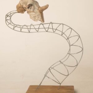The Serpent's Echo
