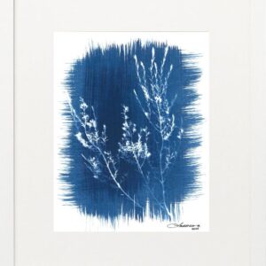 Capemay in a Moment of Blue