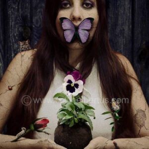 The butterfly effect