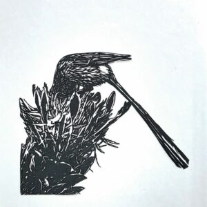 Bird 1