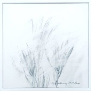 Catch the Wind 1