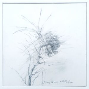 Catch the Wind 2