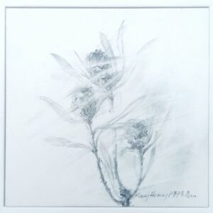 Catch the Wind 3