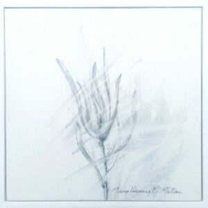 Catch the Wind 4