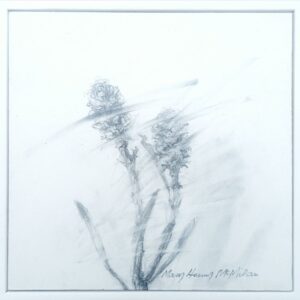 Catch the Wind 5