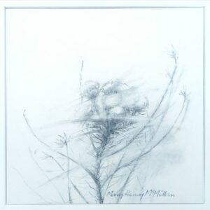 Catch the Wind 6