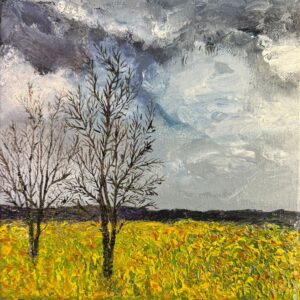 Canola