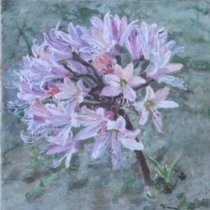 Annelie_Venter_1