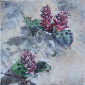 Annelie_Venter_3