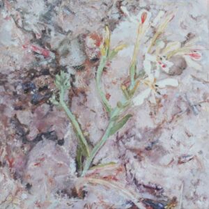 Annelie_Venter_6