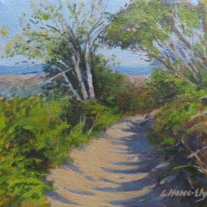 Kirstenbosch Contour Path