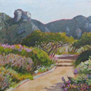 Kirstenbosch Castle Rocks