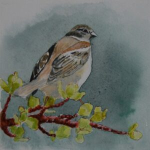 The Sparrow