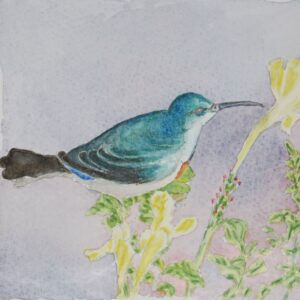 The Sunbird