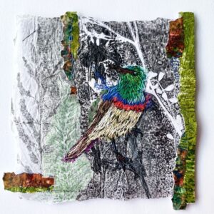 Sunbird