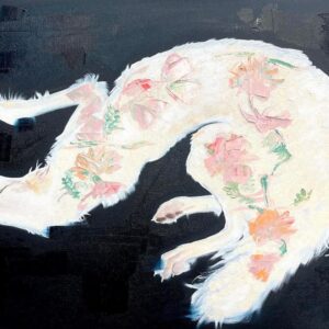 The Dreamer