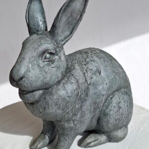 "Spot" our guard bunny